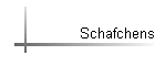 Schafchens