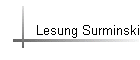 Lesung Surminski