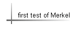 first test of Merkel