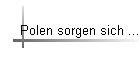 Polen sorgen sich ...